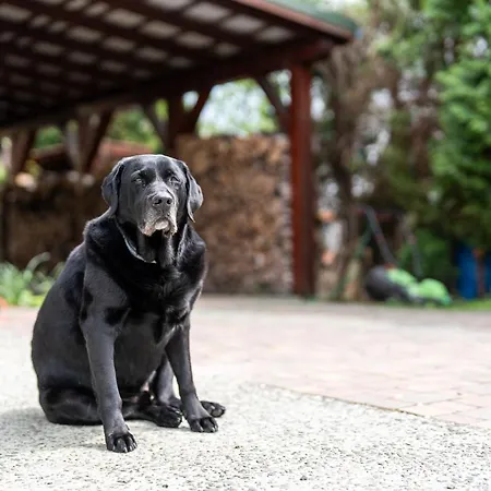 Goscinny Dom Bed & Breakfast 3*