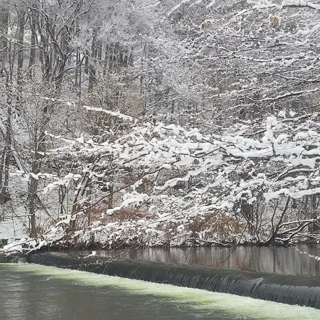 Bed and Breakfast Goscinny Dom Ustroń
