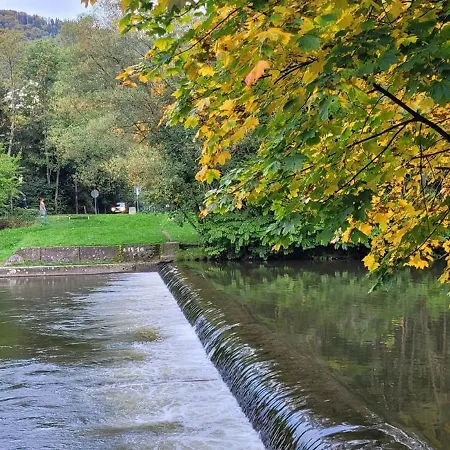 Bed and Breakfast Goscinny Dom