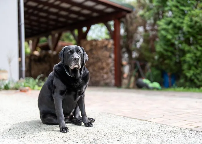 Goscinny Dom Bed & Breakfast 3*