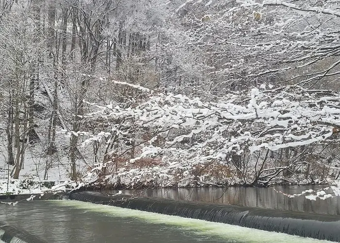Bed & Breakfast Goscinny Dom Ustroň