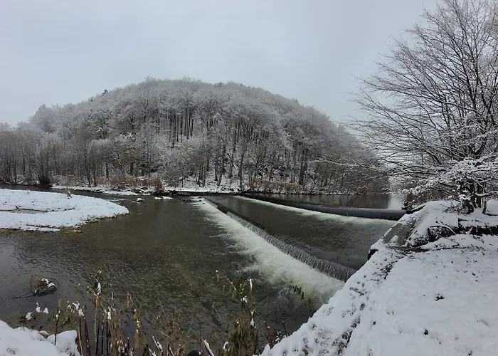 ベッド・アンド・ブレックファスト Goscinny Dom